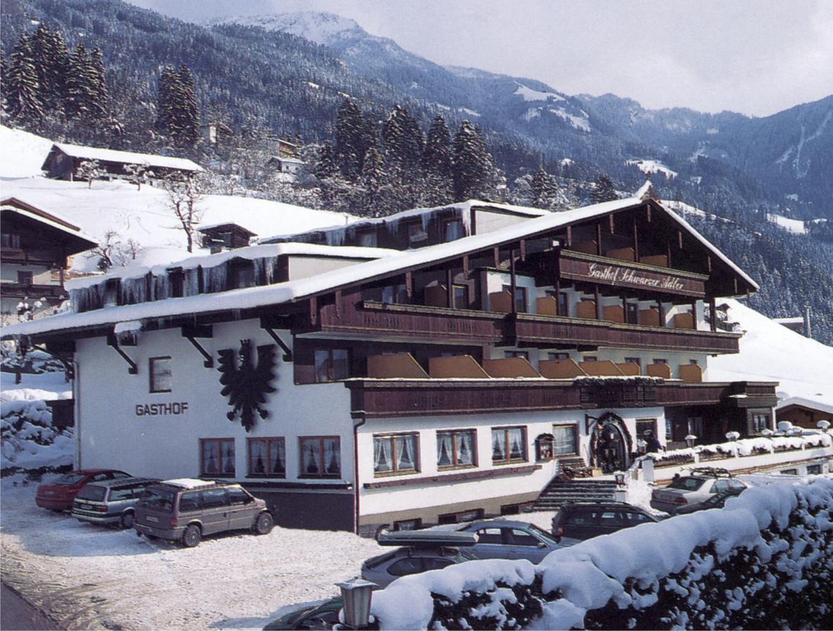 Schwarzer Adler