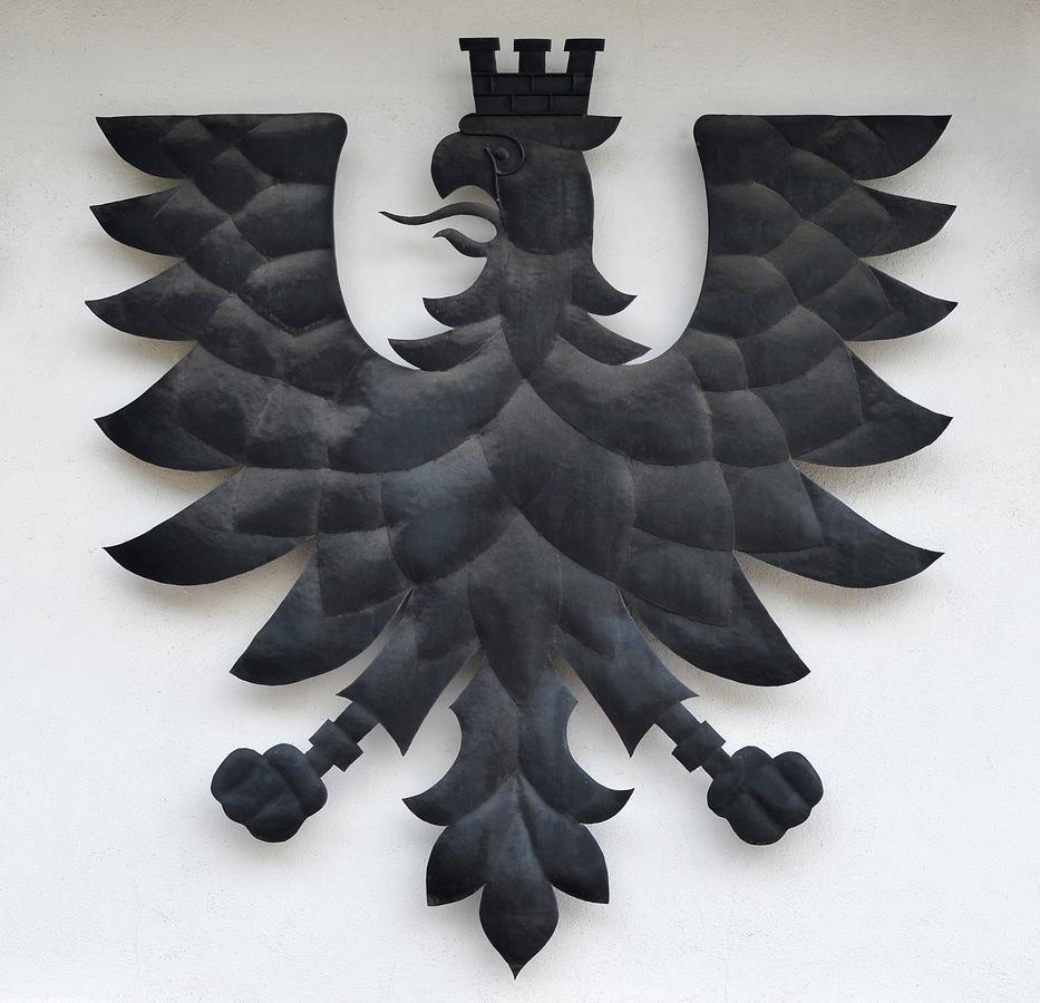 Schwarzer Adler